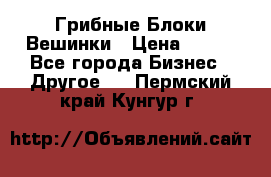 Грибные Блоки Вешинки › Цена ­ 100 - Все города Бизнес » Другое   . Пермский край,Кунгур г.